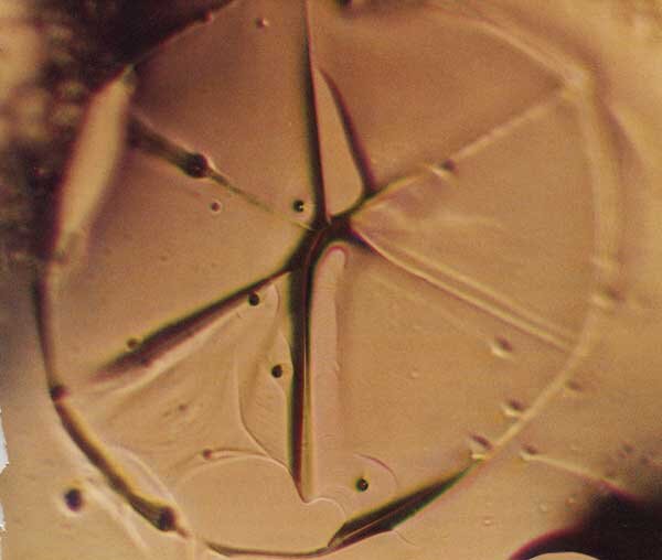 Вид кристаллов льда. Источник изображения: сайт bag-info.ru