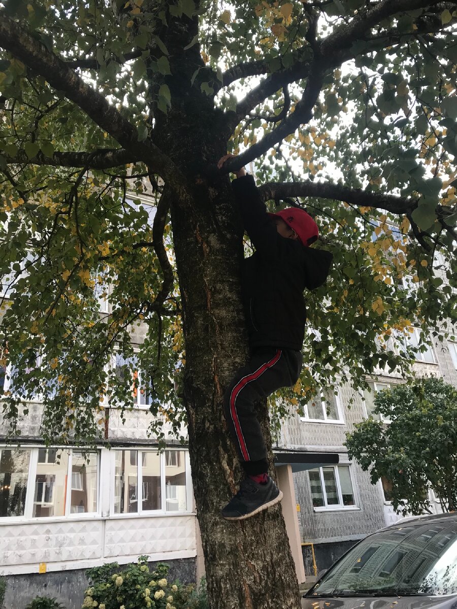 Почему же у меня дети такие грязные с прогулки приходят, ну действительно странно (гы).