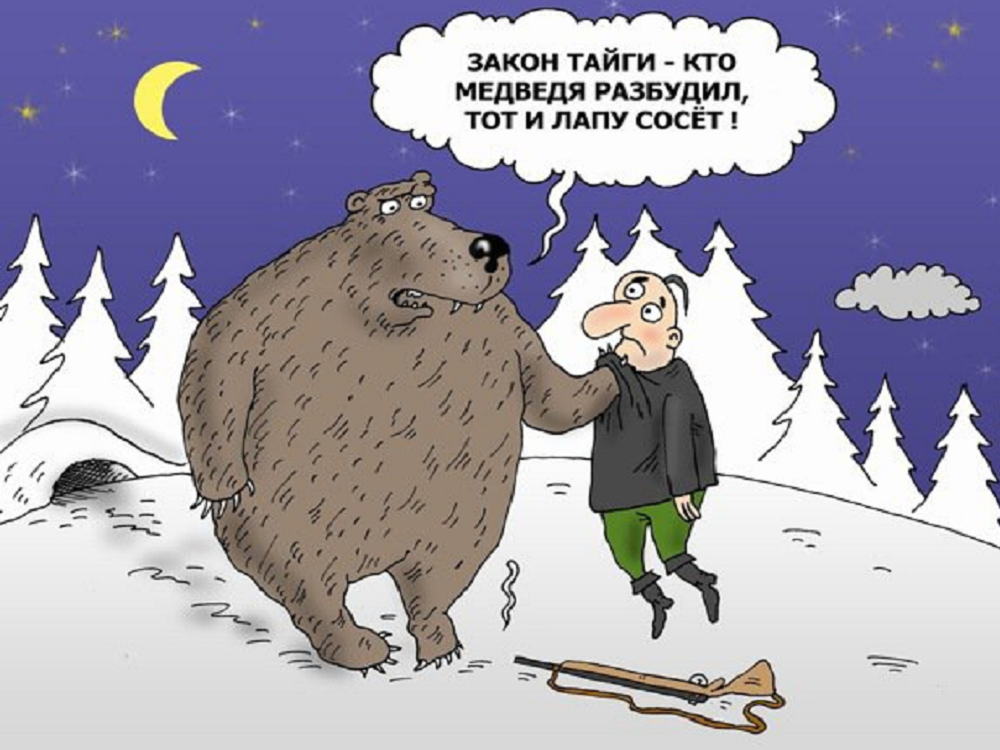Медведь и охотник прикол картинки