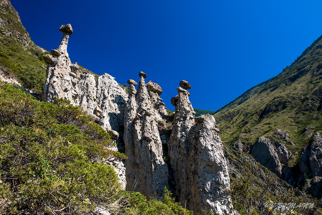 Каменные грибы алтай фото Каменные грибы на Алтае Туры на Алтай. Алтай-тур. Дзен