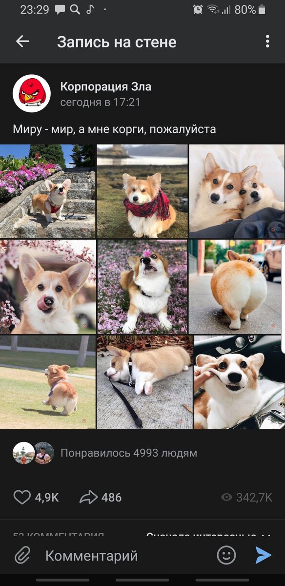 Скрин из социальной сети вконтакте