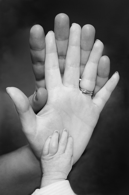 https://pixabay.com/ru/photos/%D1%81%D0%B5%D0%BC%D1%8C%D1%8F-%D0%BB%D1%8E%D0%B1%D0%BE%D0%B2%D1%8C-%D1%81%D0%BF%D0%B8%D0%BA%D0%B5%D1%80-baby-%D0%BC%D0%B0%D1%82%D1%8C-1139096/