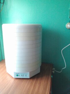  Вот моя помощница.