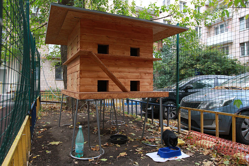 Фото из сети Интернет.