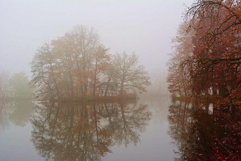 pixabay.com/photos/autumn-park-fog-autumn-colours-4635461/