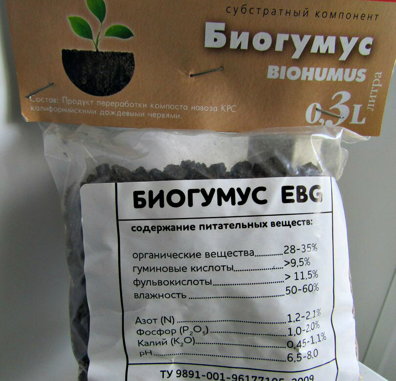 Евгения Мазалова