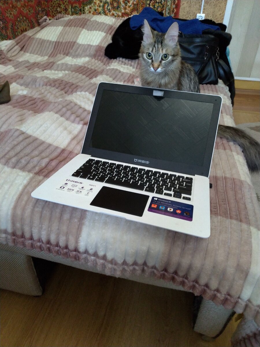 "Мама! Ты работать?"