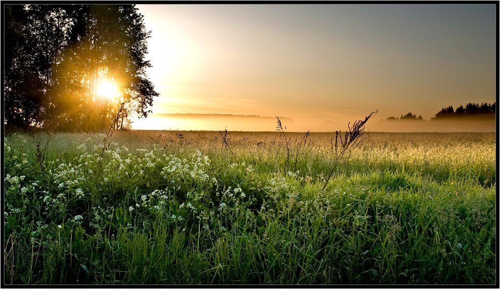 Песня картина ясная