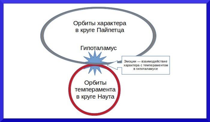 Интернет характер. Круг Наута.