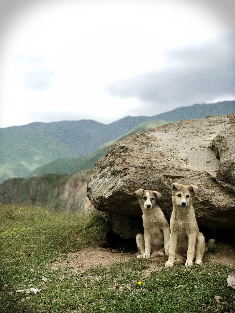 Больше фотографий в моем Инстаграм mokalvbokal