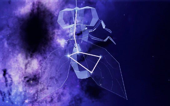 Созвездие Муха