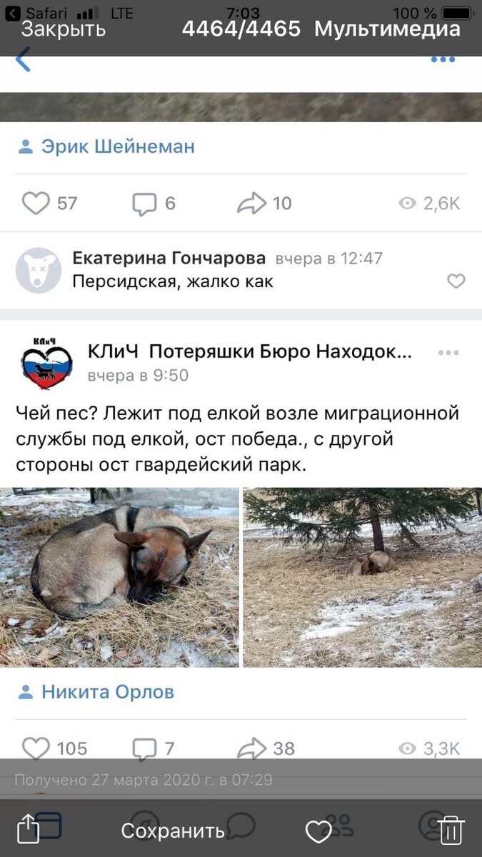 Утешило что живой. И не в стае.