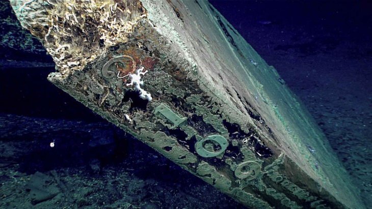 Кораблекрушение 19-го века

16 мая 2019 года исследователи на борту Okeanos Explorer из Национального управления океанических и атмосферных исследований (NOAA) находились в Мексиканском заливе, когда транспортное средство с дистанционным управлением, которое они испытывали, наткнулось на судно, затонувшее примерно около 200 лет назад. При ближайшем рассмотрении выяснилось, что судно было построено из дерева, покрыто медной оболочкой. Археологи до сих пор не знают, откуда пришло судно, сколько ему лет, что случилось с экипажем или даже тип судна.
Единственной подсказкой, обнаруженной во время открытия, была цифра 2109 на руле и разбросанные поблизости предметы из железа и меди. Сгоревшие куски дерева свидетельствуют, что корабль мог загореться перед тем, как затонуть. После того, как открытие было обнародовано, Фрэнк Кантелас из NOAA выразил надежду, что будут предприняты другие экспедиции, чтобы попытаться раскрыть тайны, окружающие кораблекрушение.
