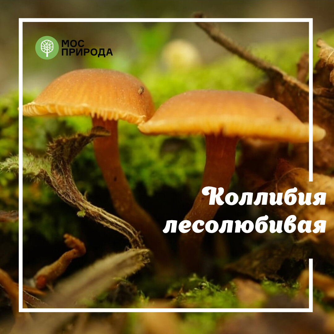 Фото из собственного архива 