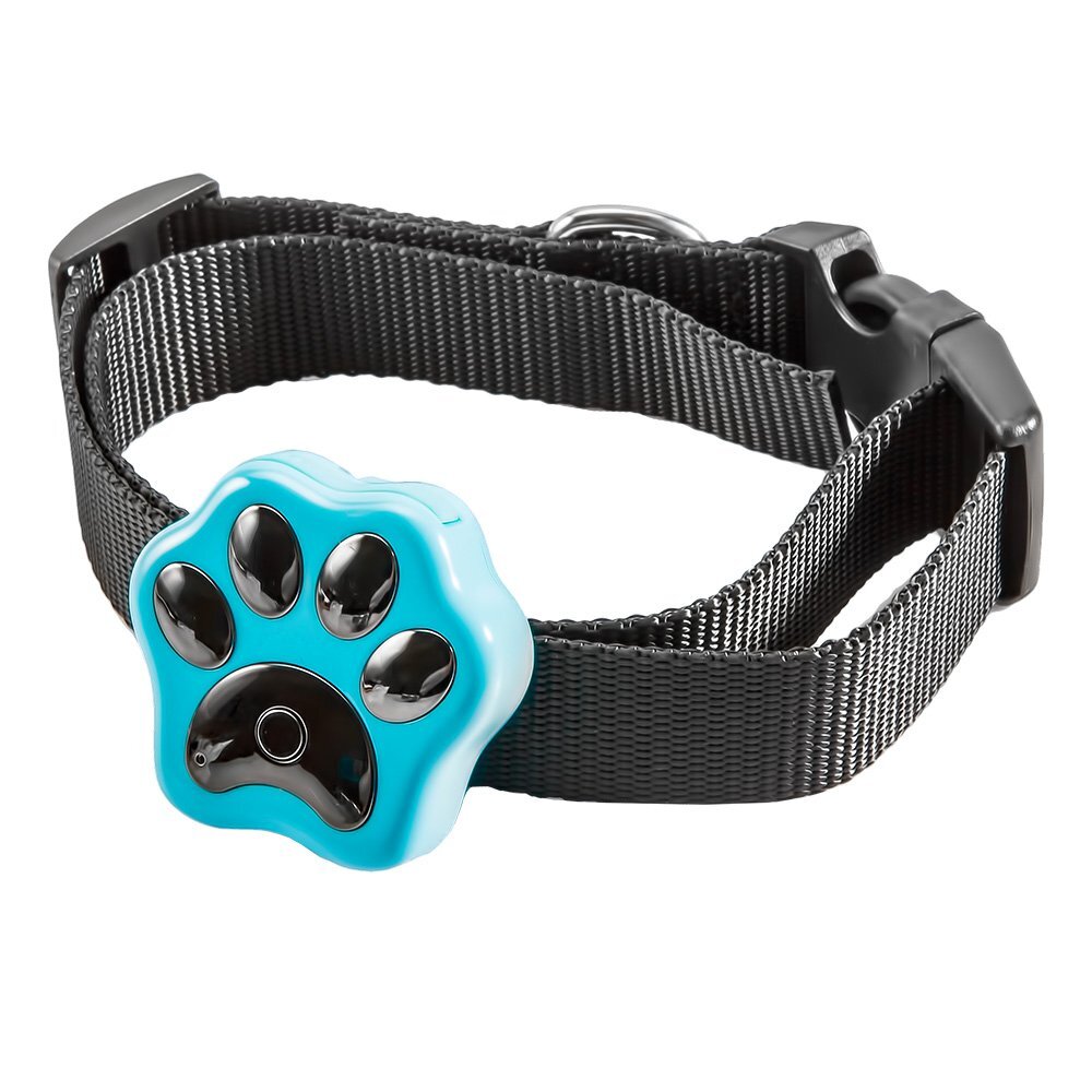 Gps ошейник d79. Gps трекер для собак g12p. ошейник pet gps-трекер. Gps ошейник "dog x30t". мини жпс трекер для собак.