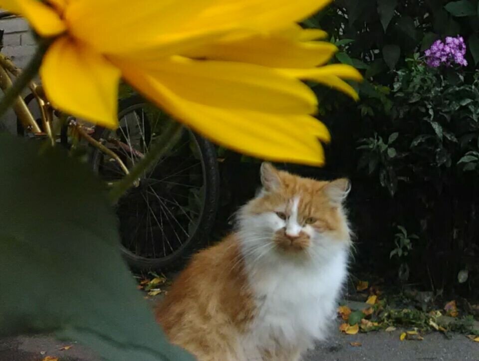 Фото: zen.yandex.ru                                             