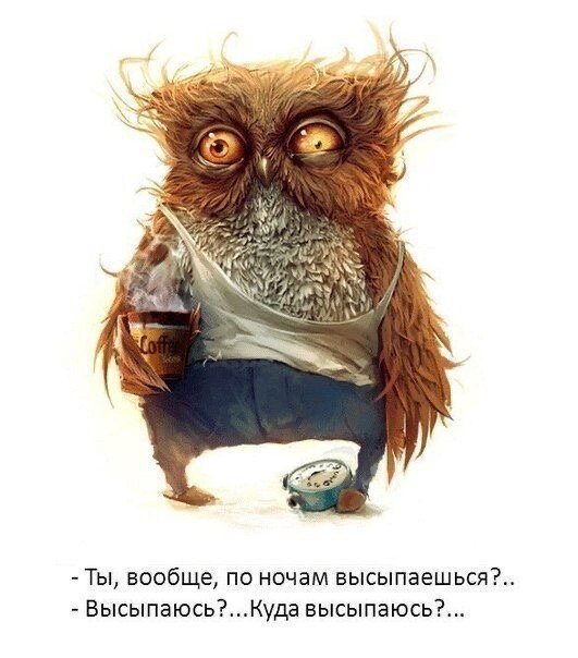 Фото: соцсети.