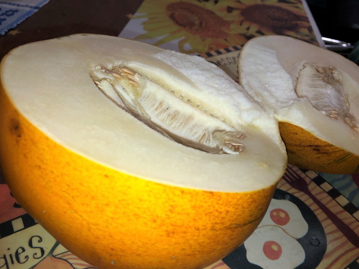 Дыня в разрезе