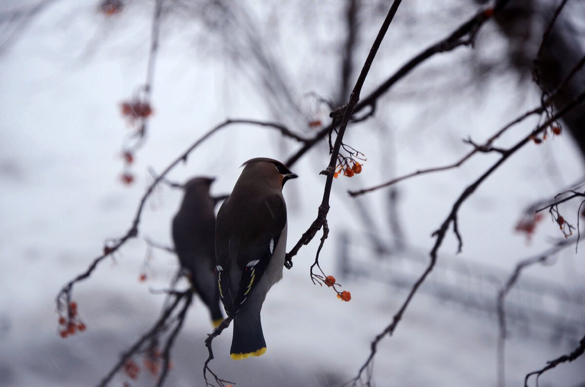 Фото из личного архива автора