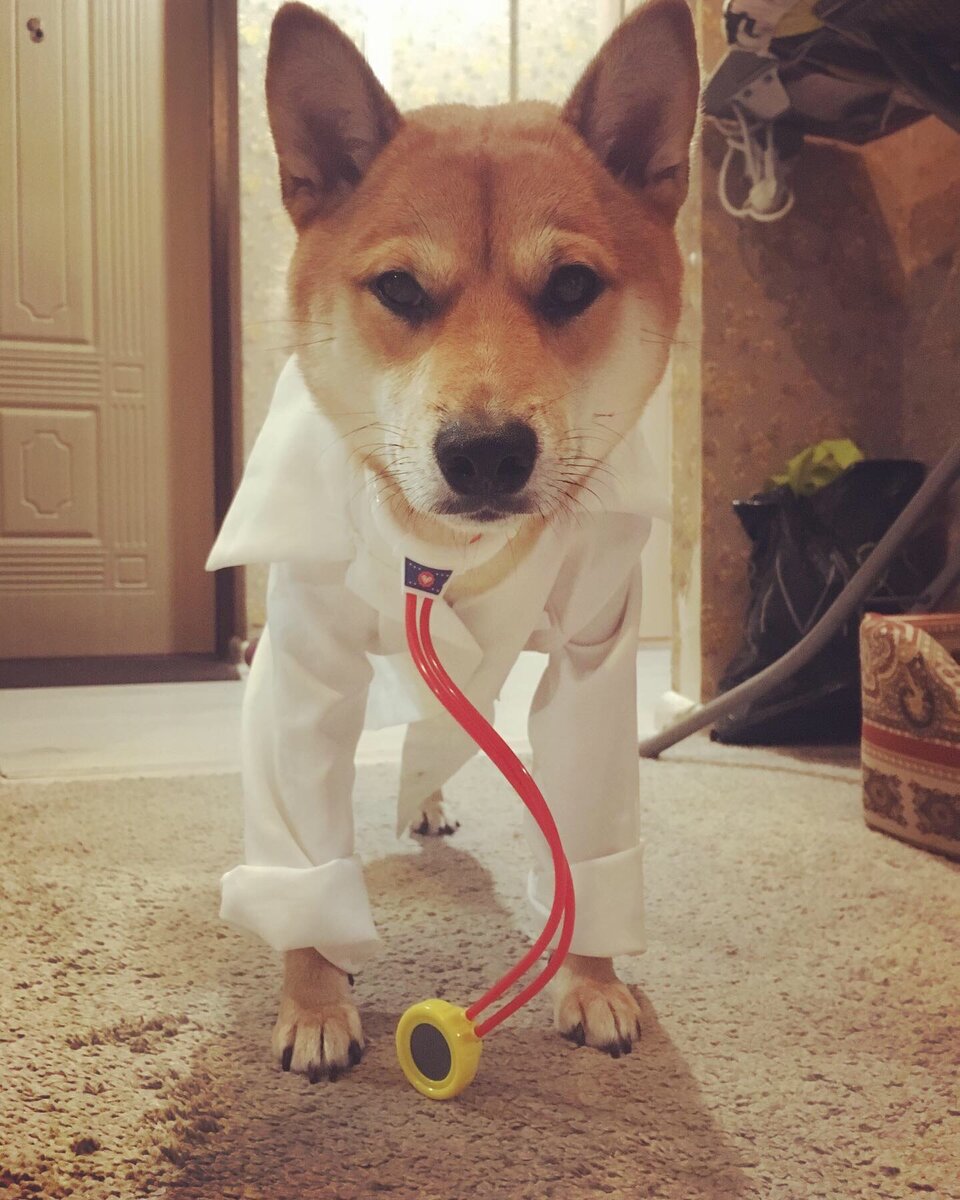 Доктор Тимерташ Морбиусович