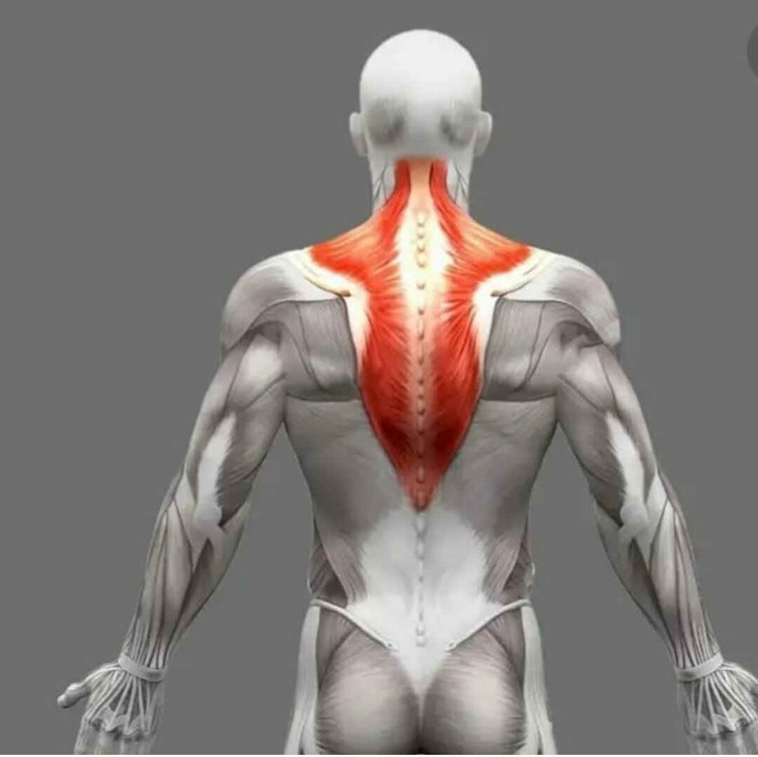 Фото из яндекс.картинки