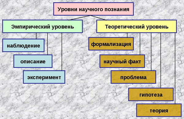 Уровни научного познания
