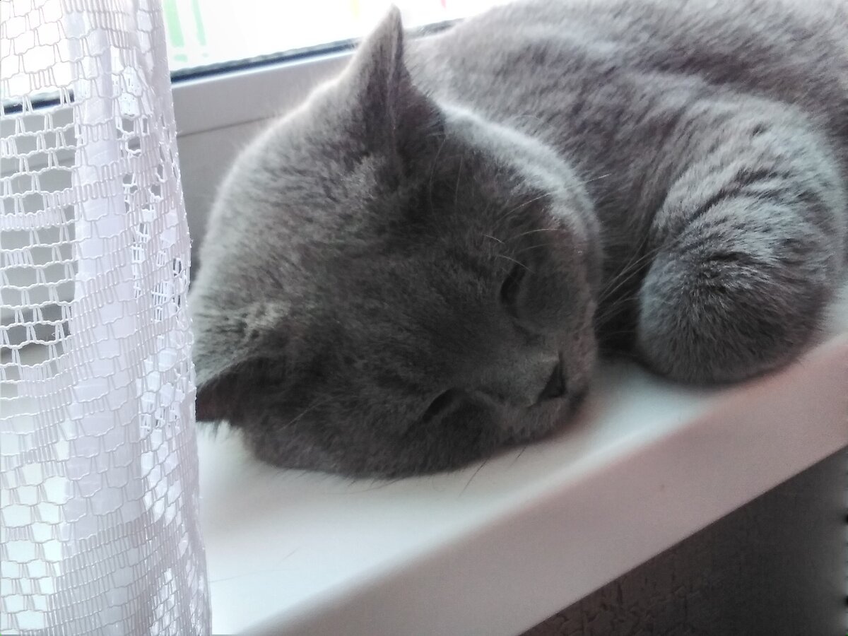 Ангелочком притворяется