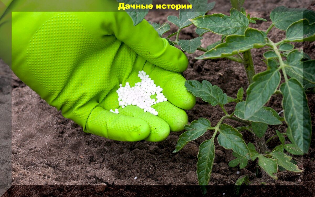 https://vk.com/photo-159774511_457247357