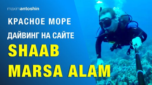 Дайвинг в Марса Аламе (Египет) на сайте Шааб Марса Алам