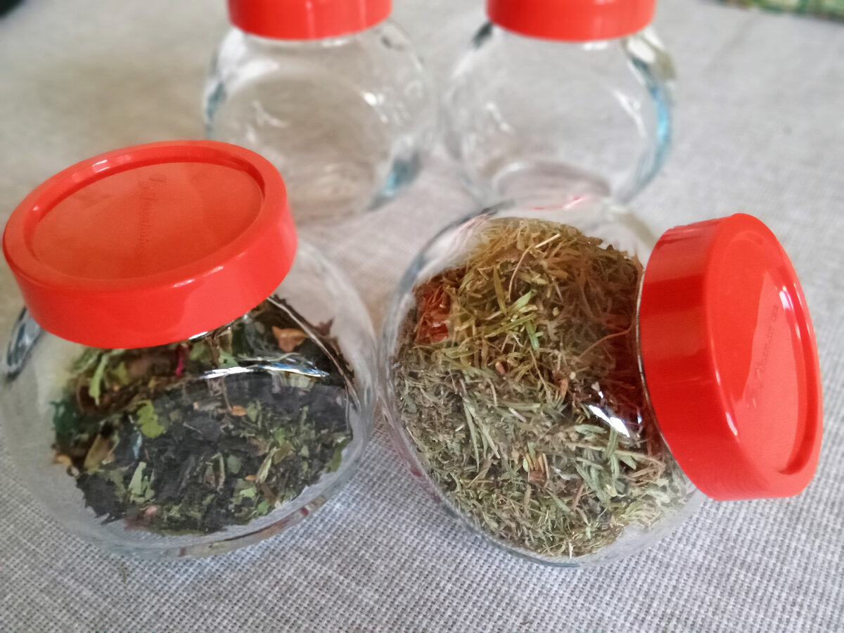 Фото автора. Галерея.