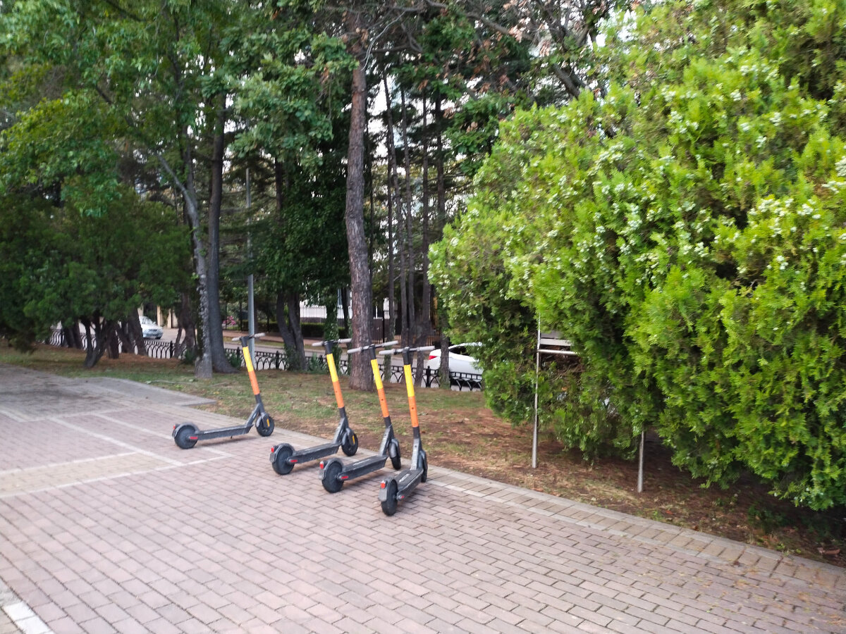 Фото автора канала
