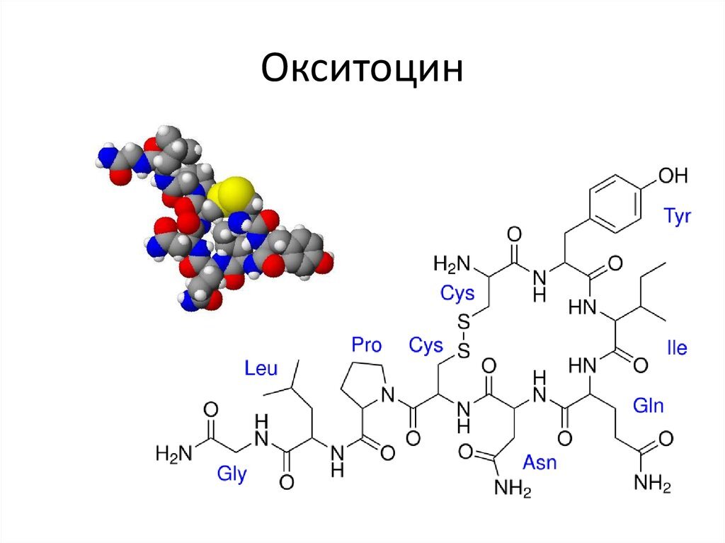 Окситоцин формула картинка