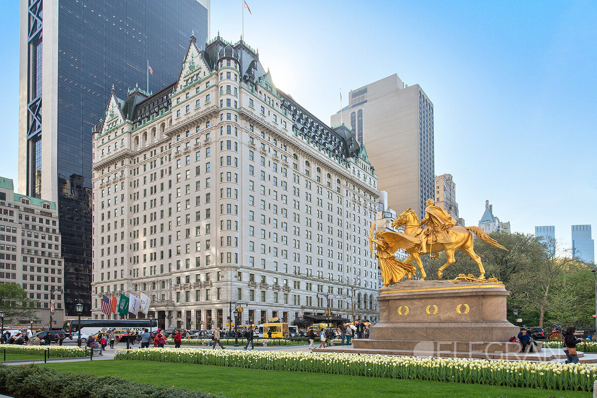 Plaza Hotel Нью-Йорк, США