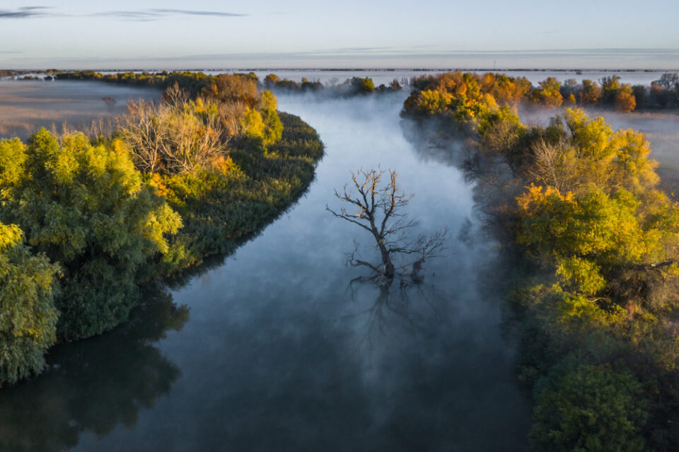 Фото: Алексей Кашин, astrakhanzapoved.ru