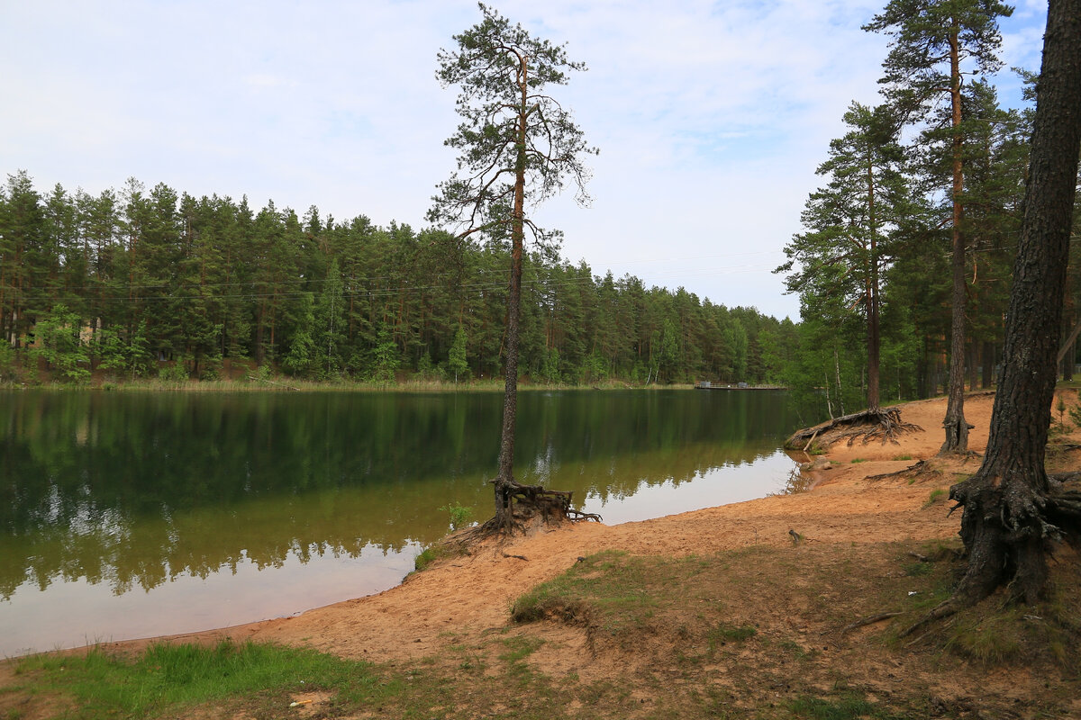 Фото А.Луцко Зелёное озеро