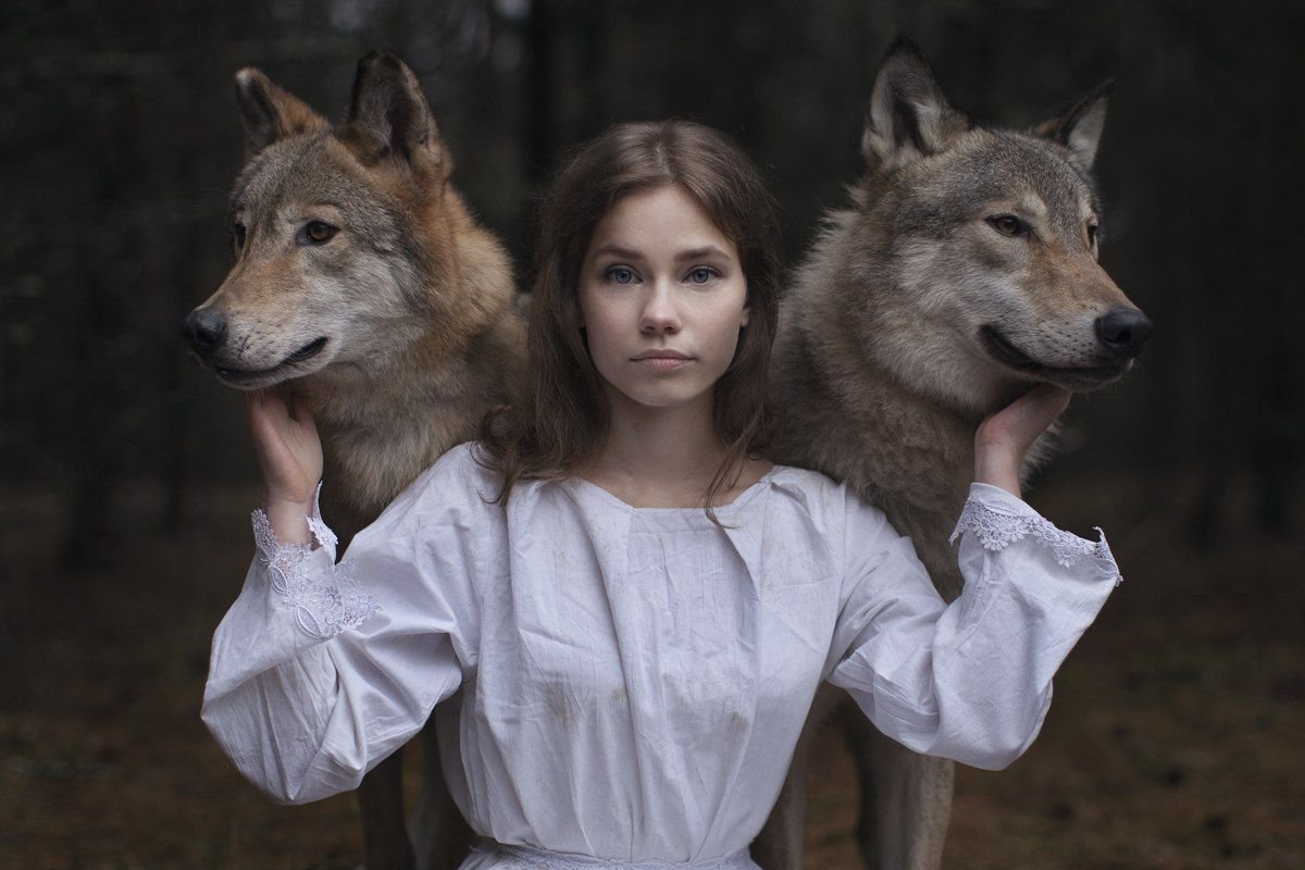 Яндекс картинки