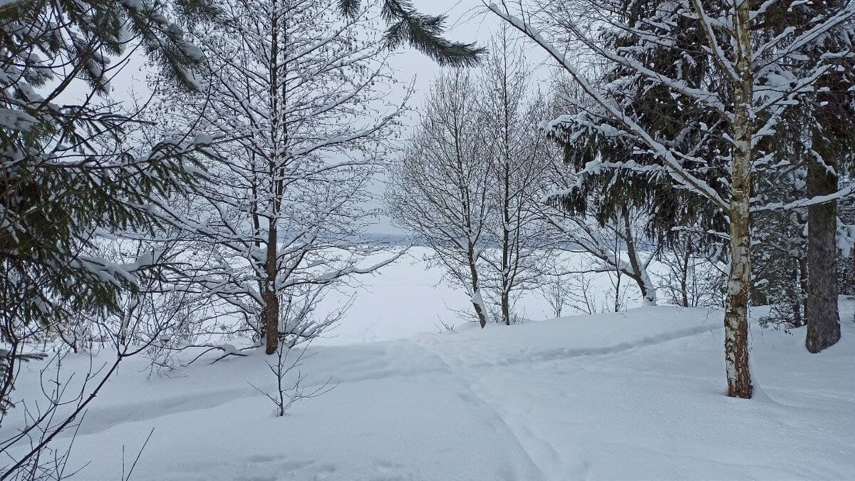 После семинара в Школе перерешения