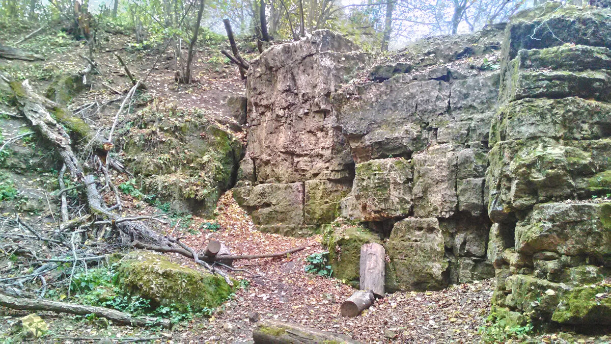 Фото автора. 