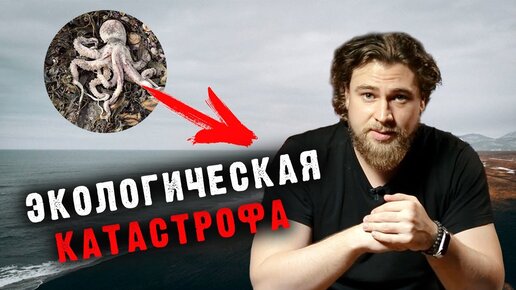 Экологическая катастрофа на Камчатке - Сортировочная