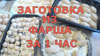 Заготовки из фарша за 1 час