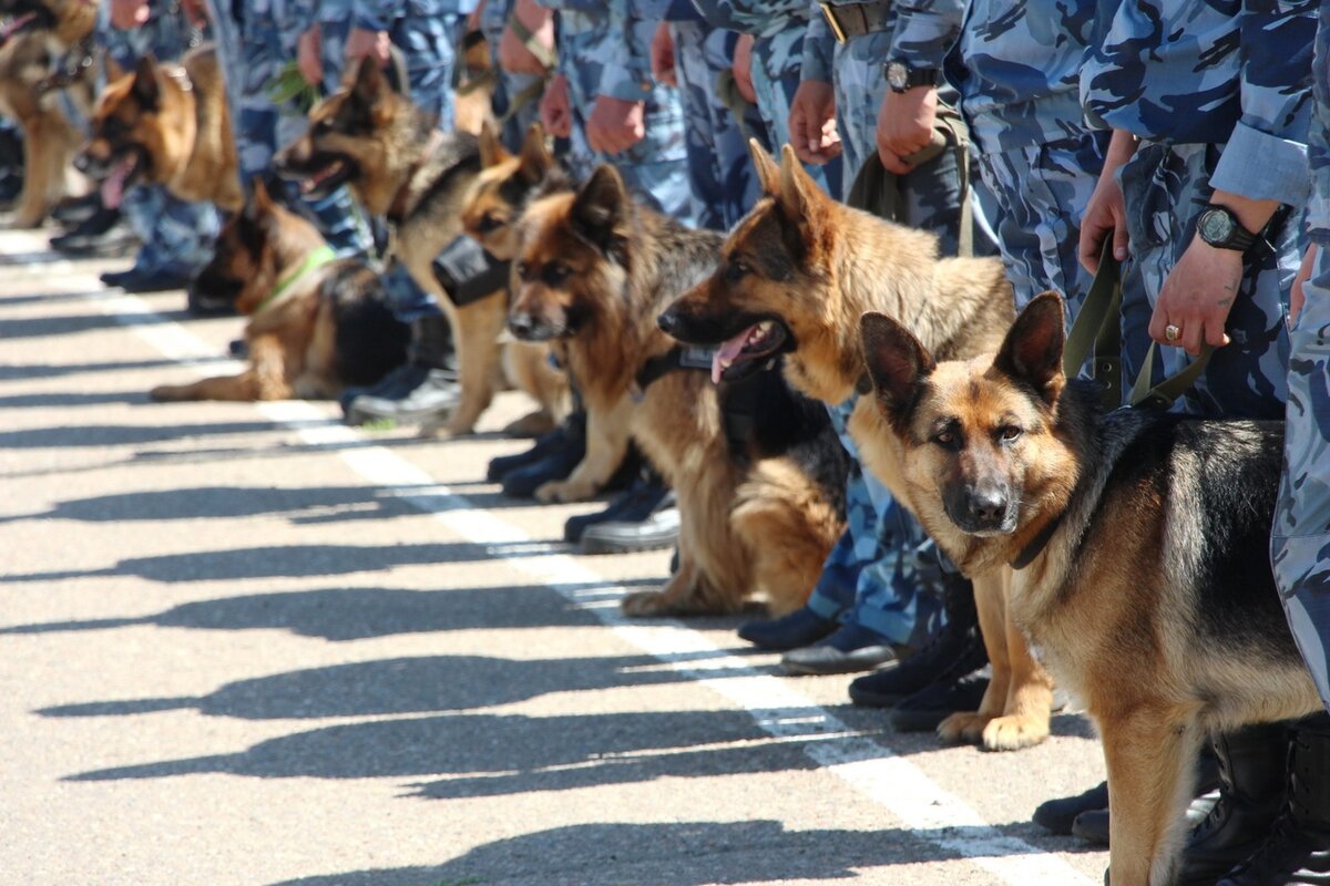 Фото взято на yandex.ru