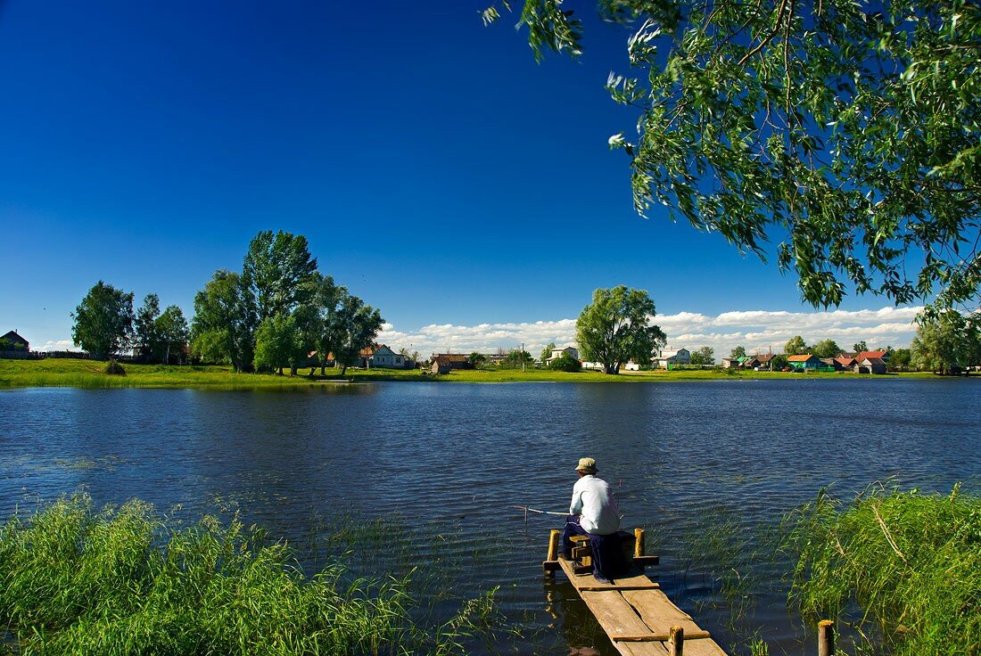 Озеро летом. Лето в деревне. Природа лето деревня. Летняя природа в деревне. Озеро в деревне.