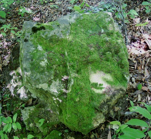 Обнаружение и поиски Объекты были случайно обнаружены в 2001 г. Занимался в другом месте картографированием и для разнообразия совершил экскурсию с подъёмом на одну из гор.-3