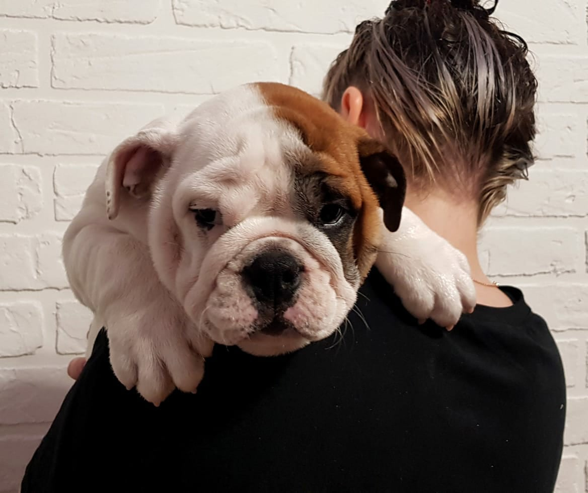 Не хочу выживать, просто возьмите меня на ручки и любите. 