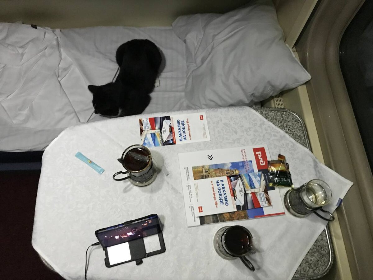 Кот создаёт уют даже в поезде