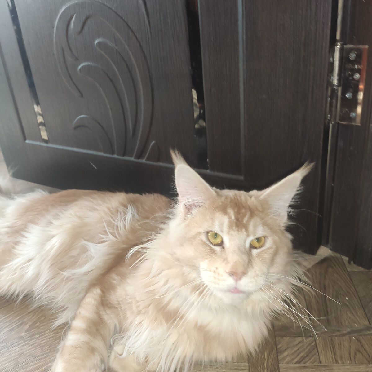 Мейн - Кун Алистер 