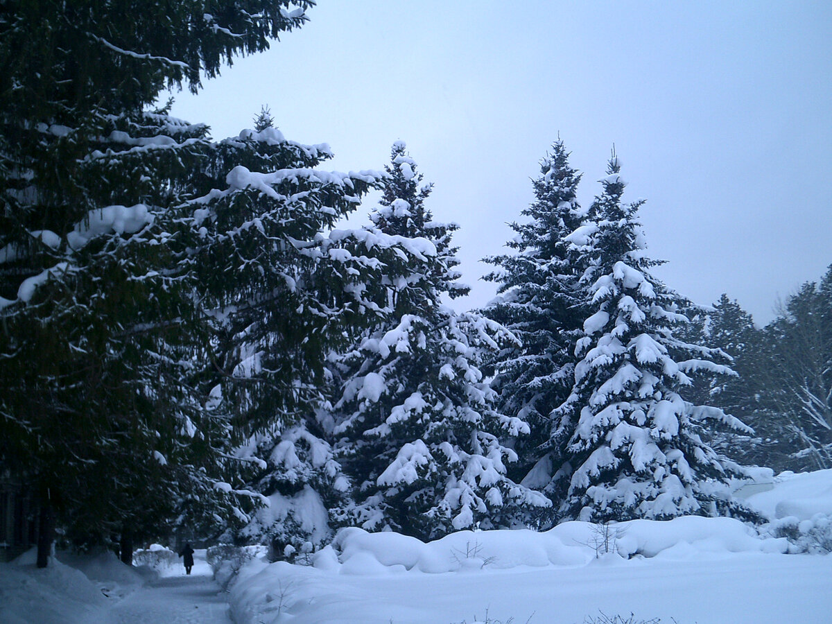 Не было дня, чтобы зима  не порадовала нас.