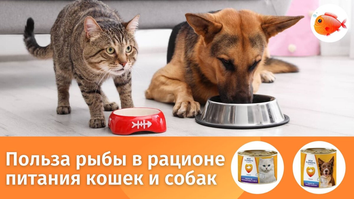 Натуральный корм из морской рыбы NEW ELEMENTS в интернет-магазине производителя new-el.ru