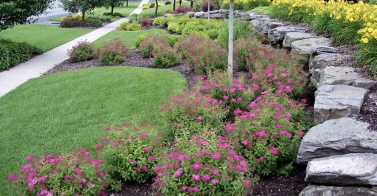 Фото из интернета 