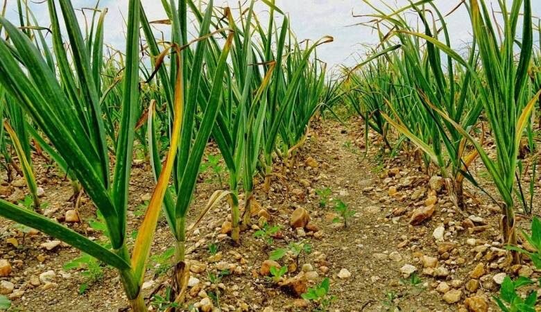 Фото: ShutterStock